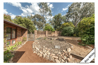 Yard (2012-11-07)