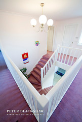 Stair caser (2014-11-05)