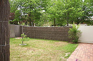 Rear yard (2003-11-25)