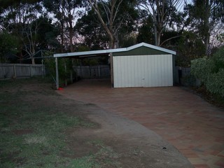 Backyard (2009-11-02)