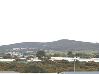 (2015-08-11)
