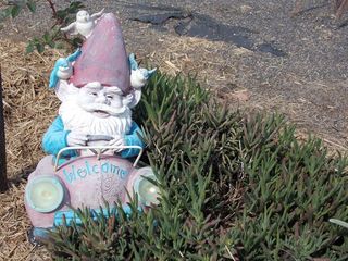 (2017-06-12)