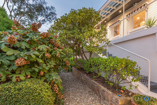 Front Garden (2016-03-04)