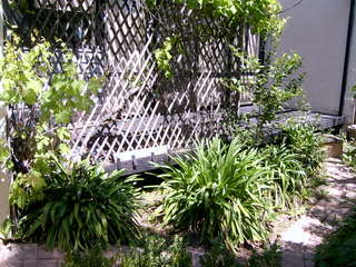 Garden (2005-08-04)