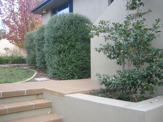Garden (2007-06-20)