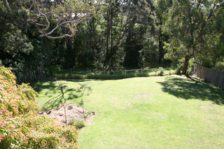 Standard Photo (2012-03-30)