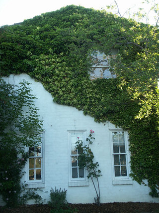 Back (2006-11-02)