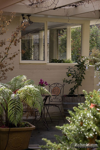 Garden (2008-05-28)
