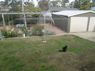 Backyard 2 (2007-06-18)