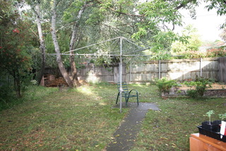 Backyard (2013-02-19)