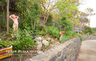 Garden (2014-10-15)