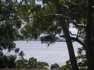 View (2007-03-29)