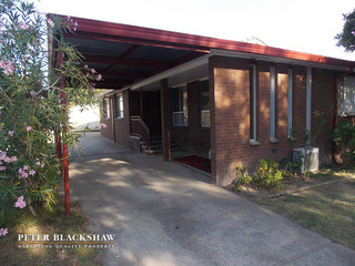 Front (2016-02-29)