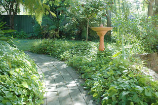 Back path (2005-01-18)
