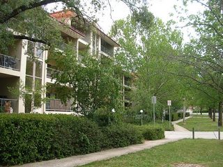 View of Street (2010-01-06)