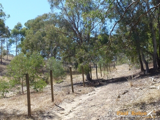 Substantial existing fencing (2013-02-08)