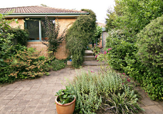 Backyard (2009-12-01)