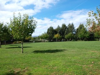 Parkland across from apartment (2017-11-01)