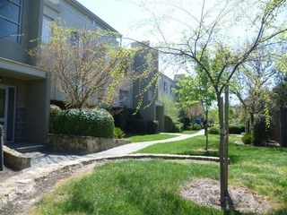 Main Photo (2012-05-31)