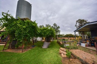 (2015-06-05)