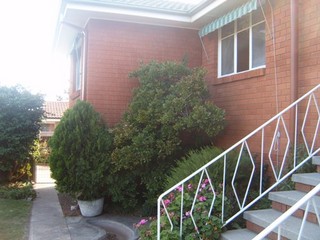 Backyard (2009-05-26)