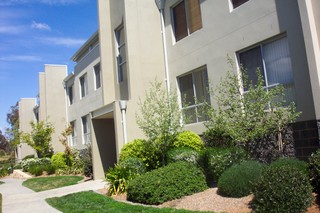 Main (2008-04-02)