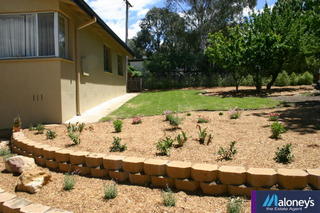 Front Garden (2006-10-31)