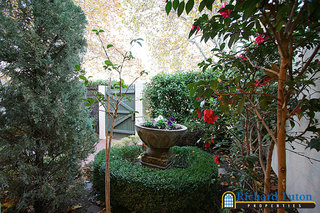 Garden (2006-05-18)