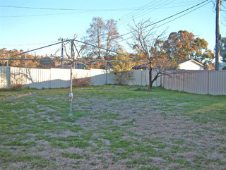 Backyard (2006-08-16)