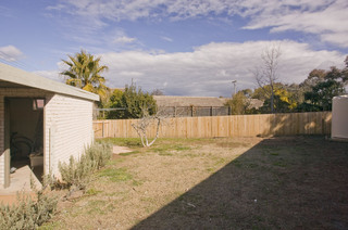 Backyard (2008-08-12)