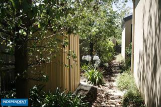 Backyard (2012-02-01)