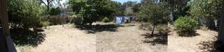 Backyard (2013-02-04)
