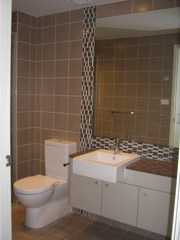Bathroom (2010-12-14)