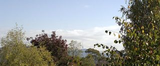 View (2005-04-21)