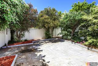 Backyard (2015-11-25)