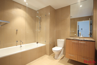 Bathroom (2010-11-23)