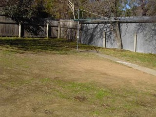 Rear yard (2006-07-11)