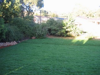 Backyard (2005-09-06)