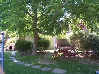 Rear (2002-03-19)