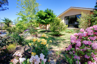 Front garden (2013-11-01)