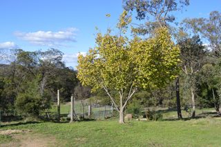 Garden (2014-04-19)