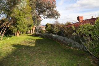 Rear Gardens (2015-03-03)