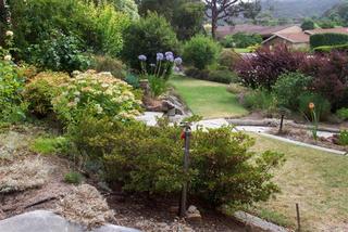 Front garden (2006-01-16)