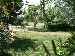Frontyard (2004-01-02)