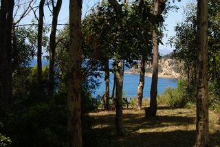 View (2011-02-08)