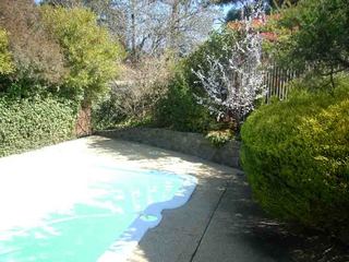 Garden (2006-08-31)