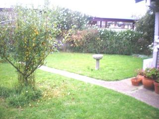 Garden (2011-06-06)