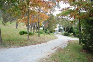 Driveway (2012-04-16)