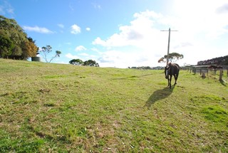 (2015-06-24)