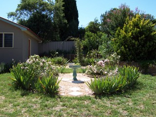 Garden (2005-02-08)